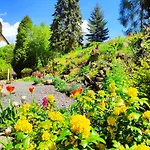 Bed & Breakfast Tvrz 3*