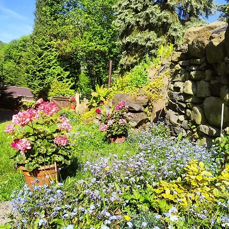 Bed & Breakfast Tvrz 3*